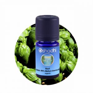 Bazilika (CT Methyl chavicol) BIO eterično olje