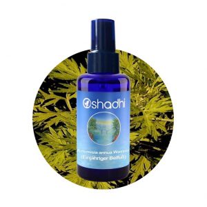 Sladki pelin hidrolat