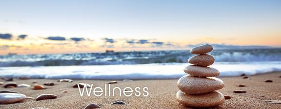 wellness_startseite_v2_576x224_crop_center