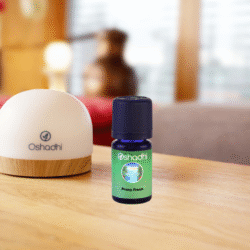 Set: Difuzor z lučko + Prana Fresh